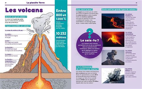 Livre scientifique 1001 POURQUOI COMMENT - Découverte & apprentissage - Image 2
