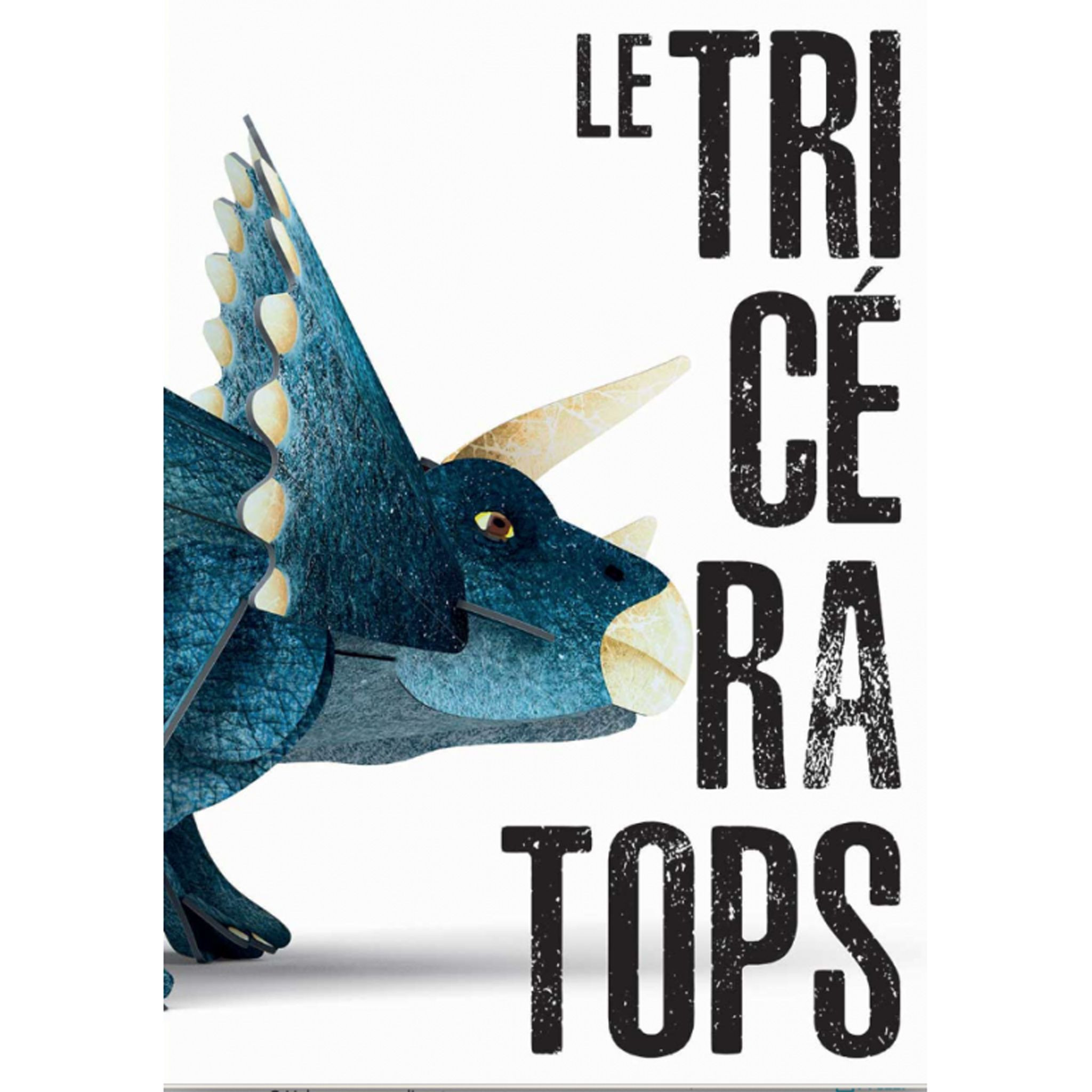 Maquette 3D éducative BABY DINO - LE TRICERATOPS