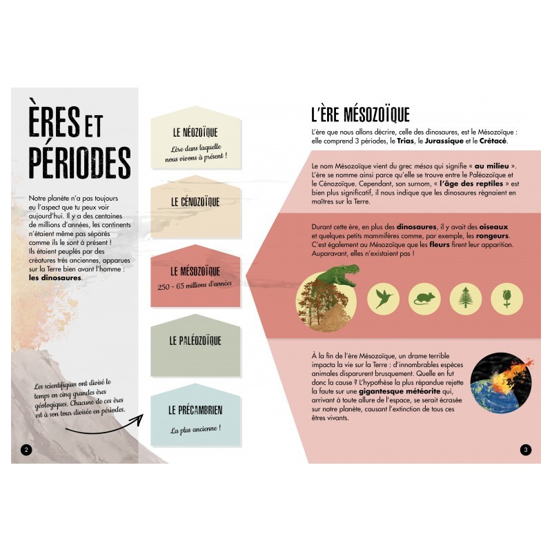 BABY DINO - LE TYRANNOSAURE – Image 3