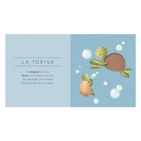 Récits sonores : LES PETITS HABITANTS DE LA MER