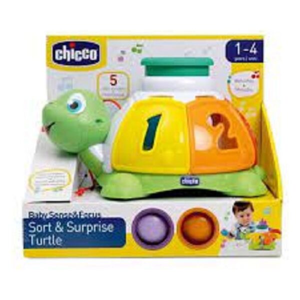 Turtle Sort & Surprise