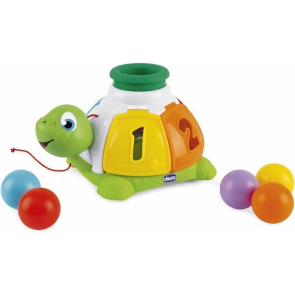 Turtle Sort & Surprise