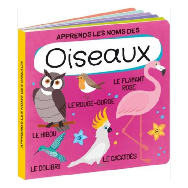 Q-Box Les oiseaux