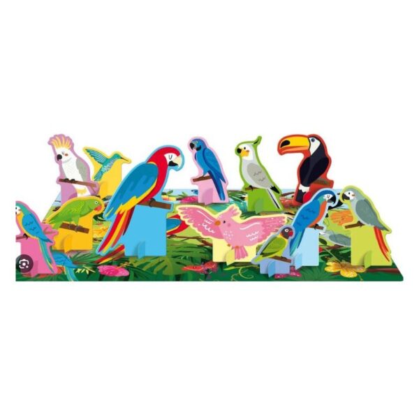 Q-Box Les oiseaux