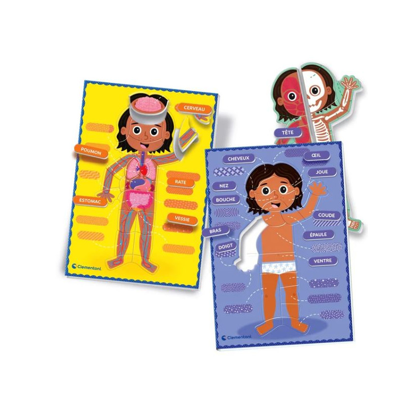 Montessori - Le corps humain – Image 2