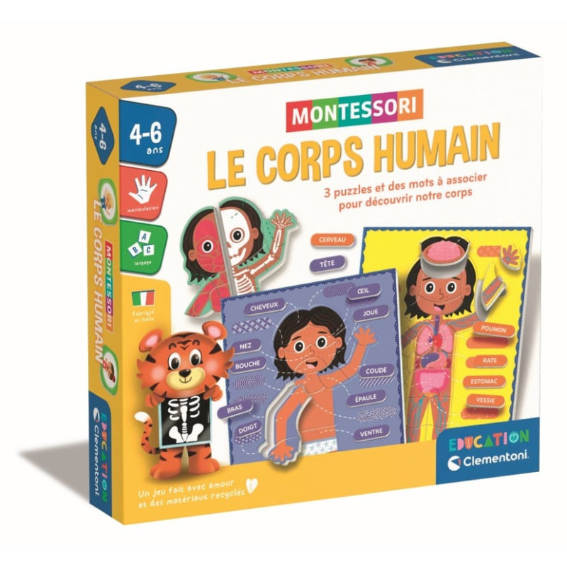 Montessori - Le corps humain