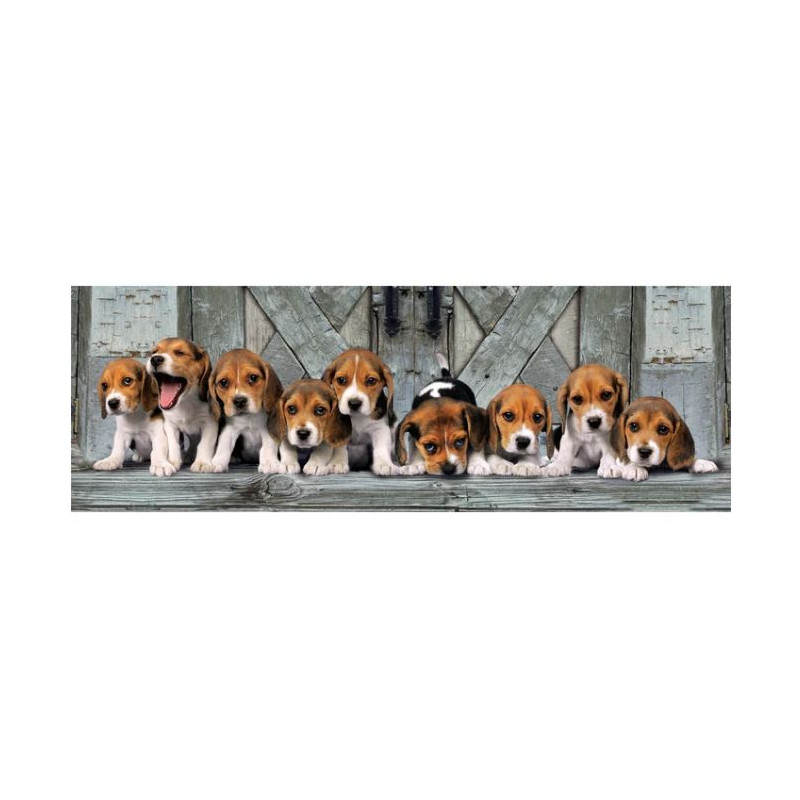 Puzzle 1000 pièces - Beagles – Image 3