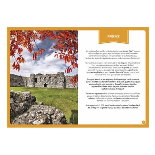 À LA DÉCOUVERTE DES CHÂTEAUX FORTS (Coffret magnétique)