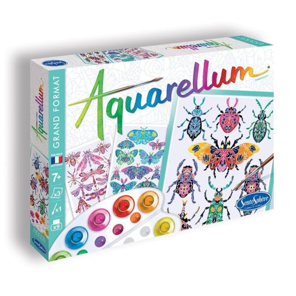 AQUARELLUM - INSECTARIUM