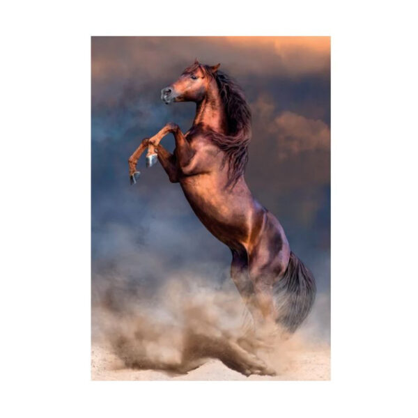 Puzzle 500 pièces - CHEVAL