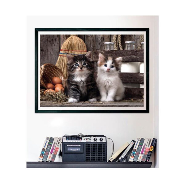 Puzzle 1000 pièces - Lovely kittens