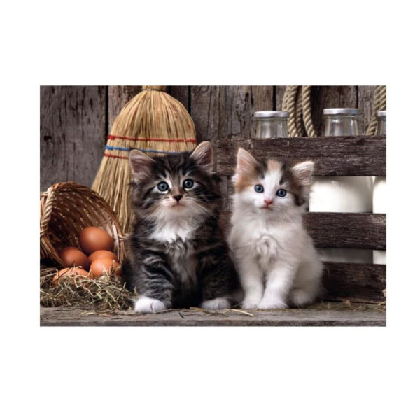 Puzzle 1000 pièces - Lovely kittens