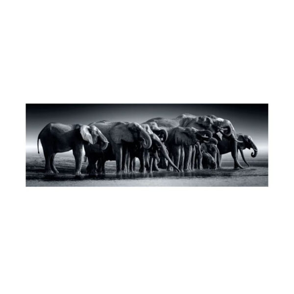 Puzzle 1000 pièces Panorama - Herd of Giants
