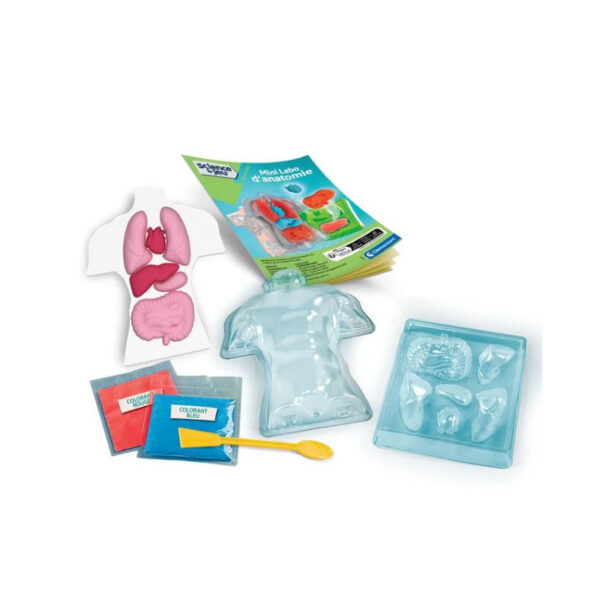Science & Jeu Laboratoire : MINI Labo d'anatomie