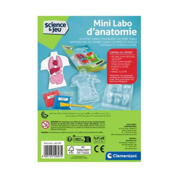 Science & Jeu Laboratoire : MINI Labo d'anatomie