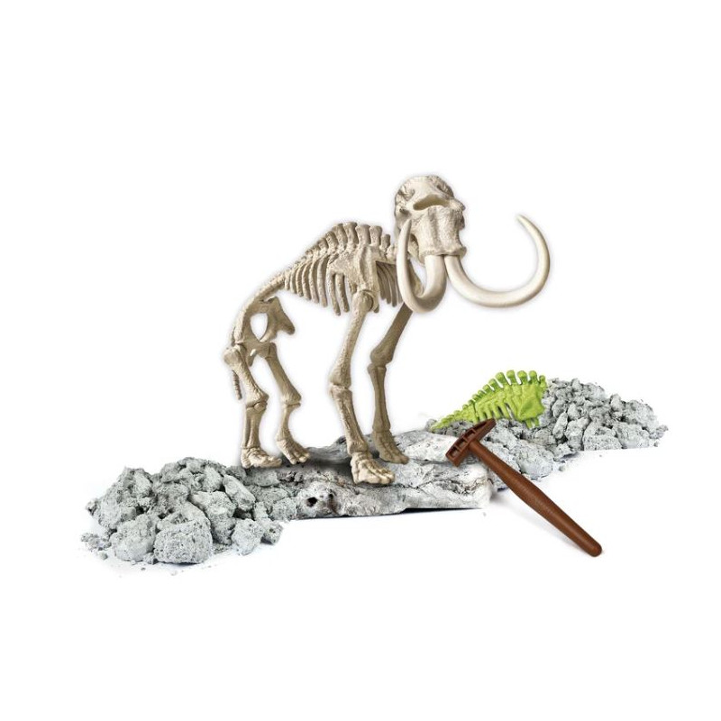 Science & Jeu Laboratoire : ARCHEOFUN - MAMMUT FLUO (F) – Image 2