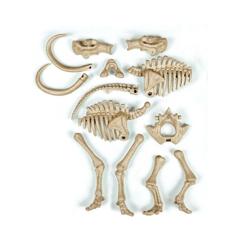 Science & Jeu Laboratoire : ARCHEOFUN - MAMMUT FLUO (F) – Image 4