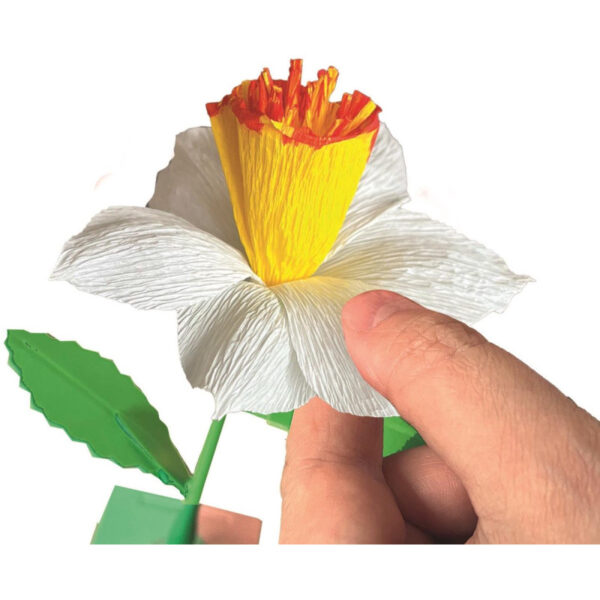 Idea Clementoni : ID_SMALL FLOWERS_NARCISO